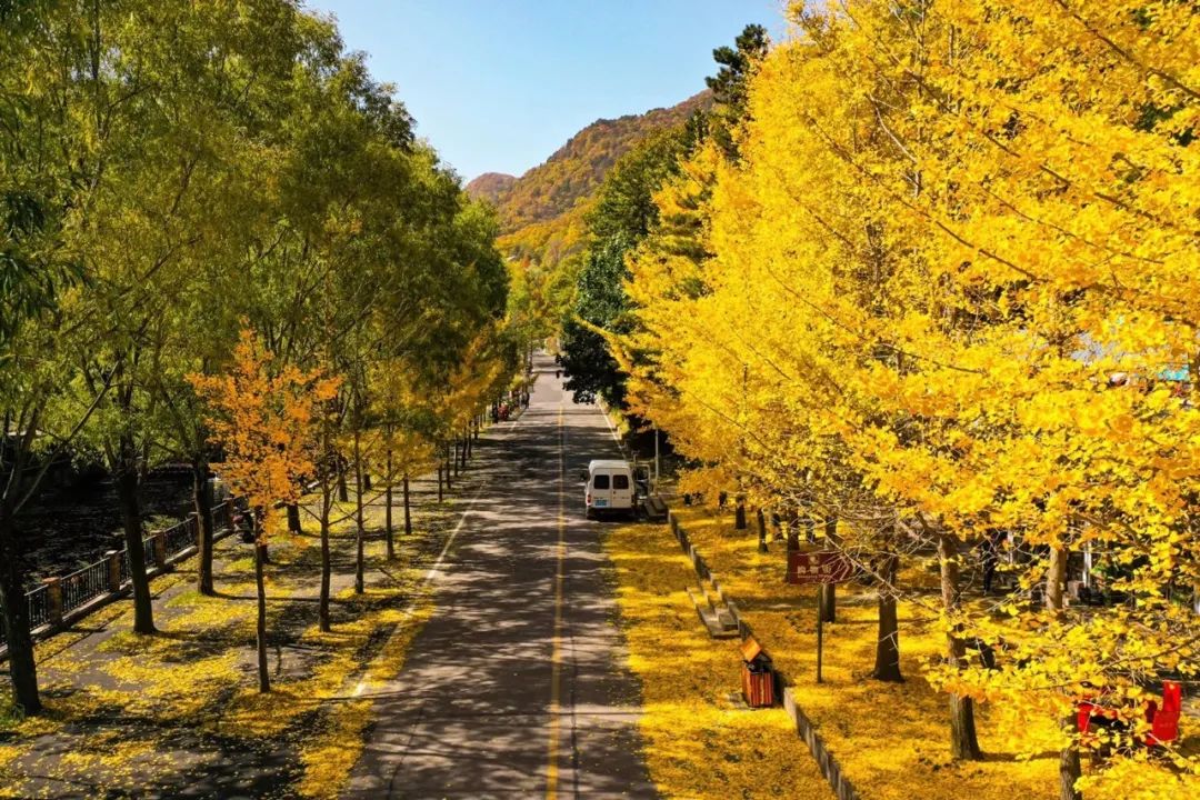 重阳登高处 赏秋白云山