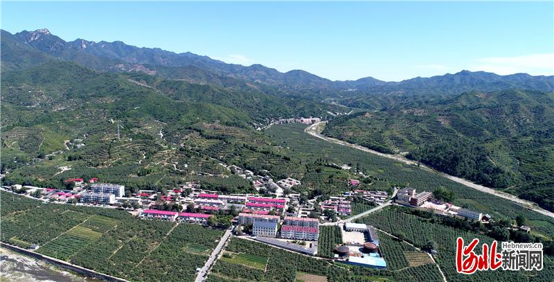 岗底村的荒岗坡底种满了苹果树，由穷变富的历程生动诠释了“绿水青山就是金山银山”理念。通讯员 刘继东摄