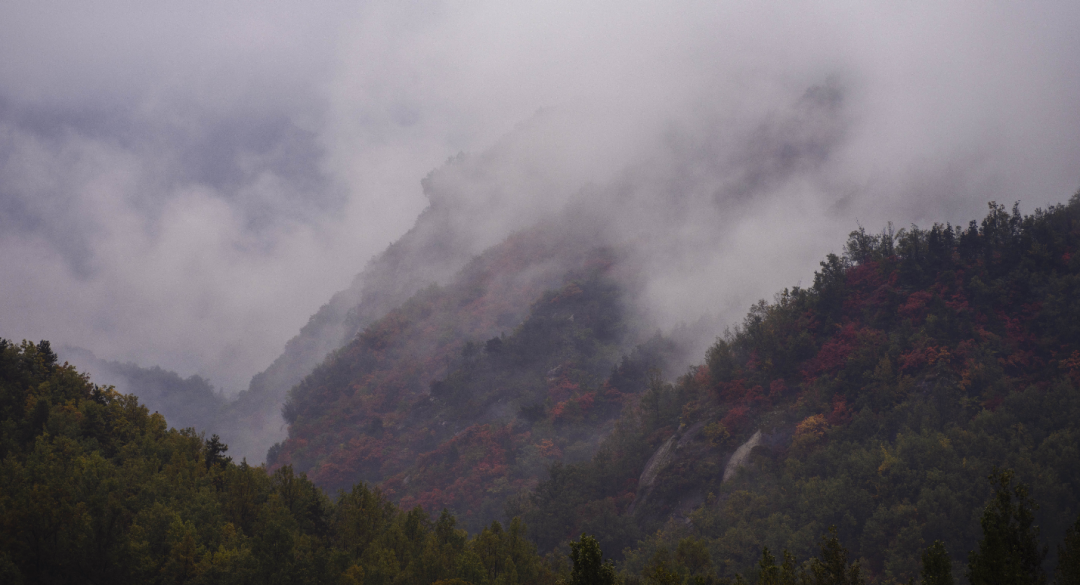 重阳登高处 赏秋白云山