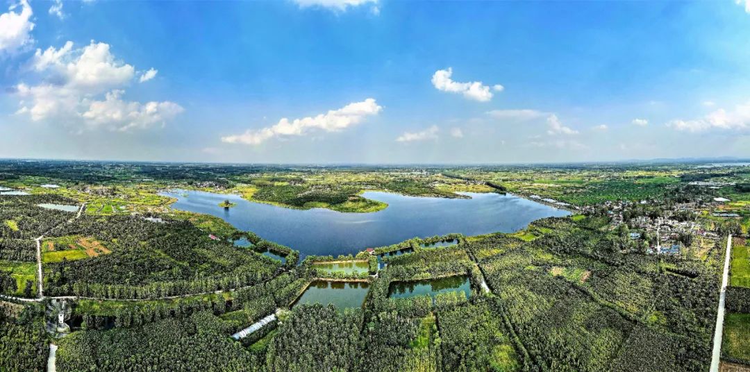 肥东县各个镇的gdp_肥东县店埠镇王卫东(2)