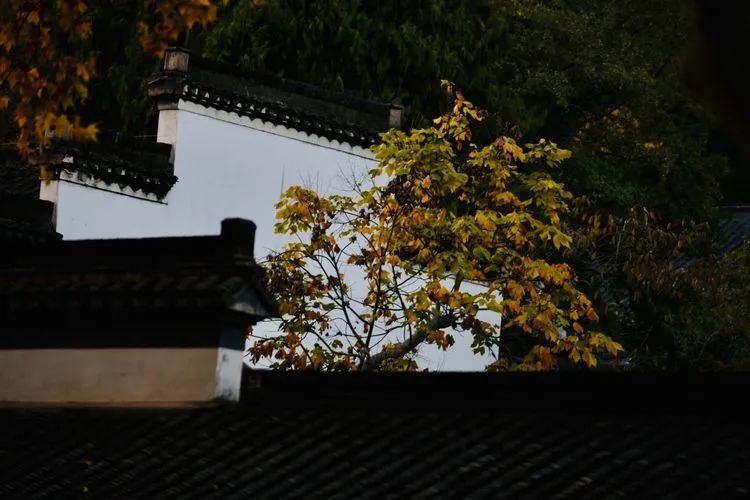 唐李公青莲祠门前秋色渐浓
