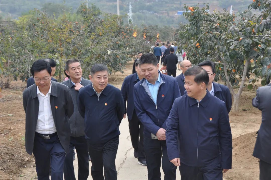 第二届中原柿乡魅力刘门柿子文化旅游节隆重开幕