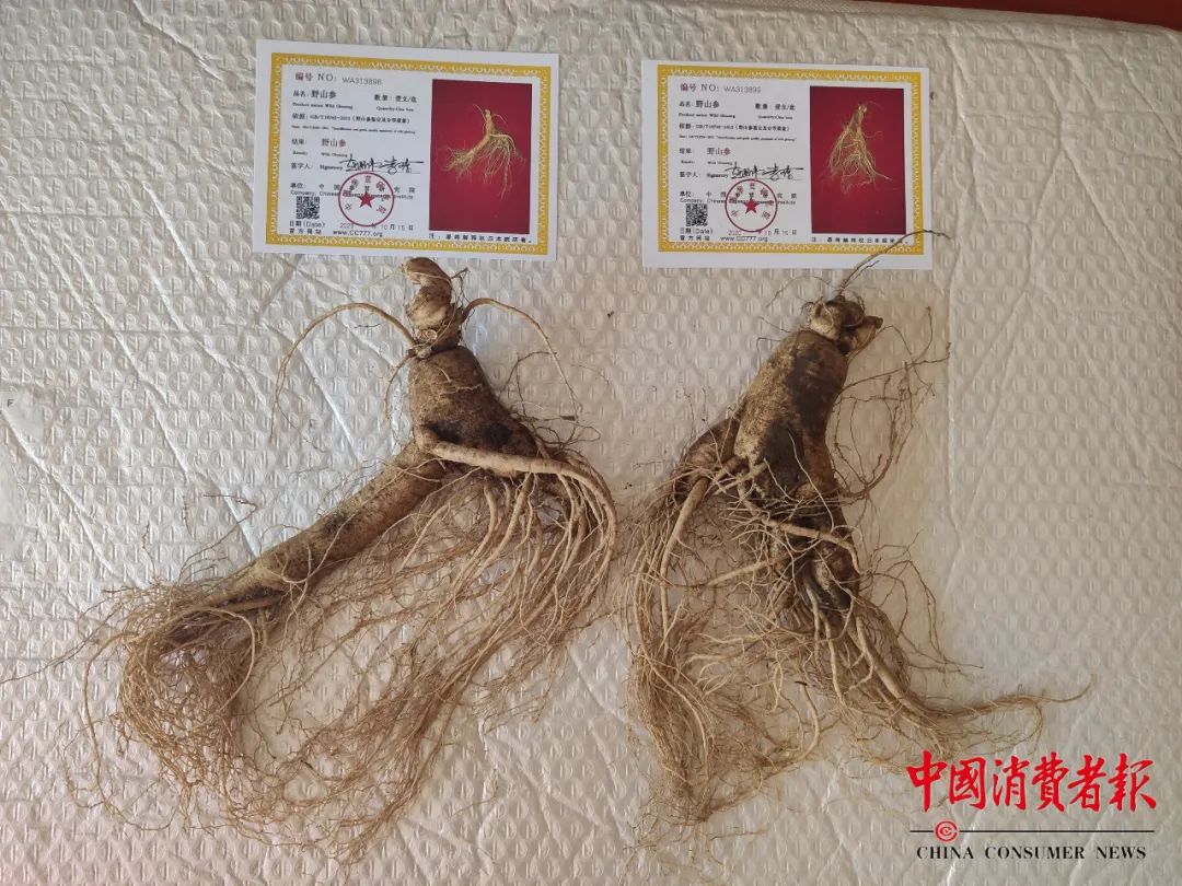 ▲“参缘特产店”制作的假证。