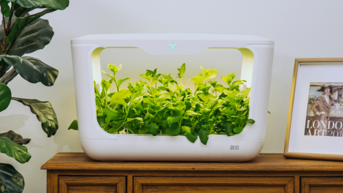 (4d bios"蔬坦"室内种植机产品图)