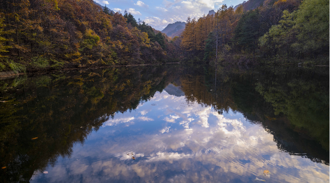 重阳登高处 赏秋白云山