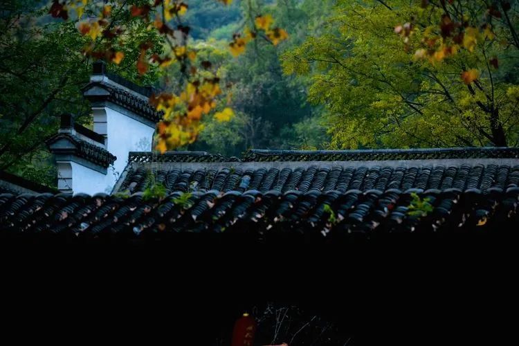 和县丰乐古道又名彩虹大道，被誉为最美乡村公路。正值深秋十月，沿途晚稻田一片金灿灿，半月湖水青翠欲滴，车友们一边享受着绿水青山，一边通过对讲机开始向当地文旅部门咨询，古道长多少公里，沿途有哪些适合车队停车点。含山县伍子胥古道全长7.5公里，连接古韶关和华阳洞，沿途有人文、自然等景点50多处，穿行其间俨然世外桃源。