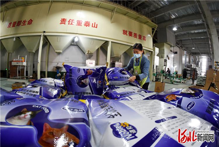 10月21日，位于南和区的邢台诺贝宠物食品有限公司员工在忙着赶订单。河北日报记者赵永辉摄