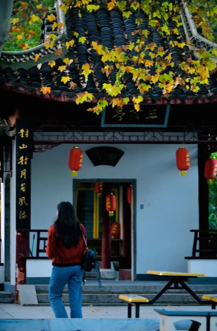 和县丰乐古道又名彩虹大道，被誉为最美乡村公路。正值深秋十月，沿途晚稻田一片金灿灿，半月湖水青翠欲滴，车友们一边享受着绿水青山，一边通过对讲机开始向当地文旅部门咨询，古道长多少公里，沿途有哪些适合车队停车点。含山县伍子胥古道全长7.5公里，连接古韶关和华阳洞，沿途有人文、自然等景点50多处，穿行其间俨然世外桃源。