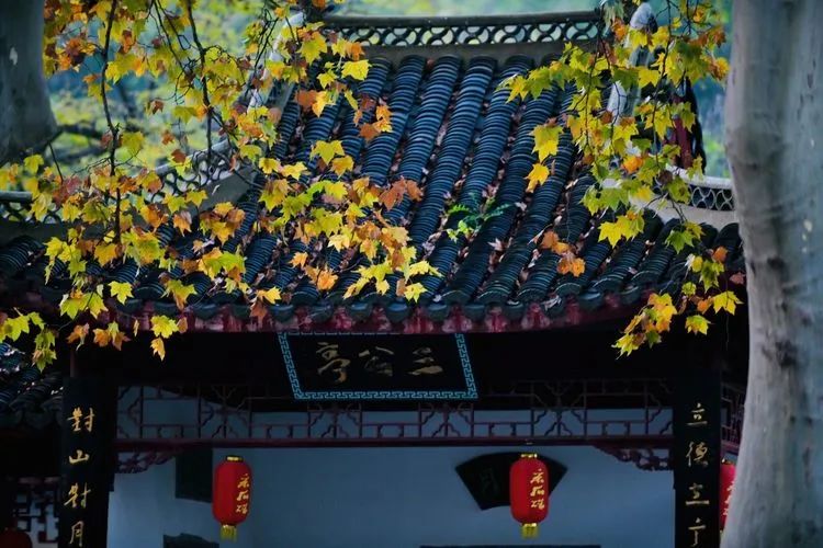 和县丰乐古道又名彩虹大道，被誉为最美乡村公路。正值深秋十月，沿途晚稻田一片金灿灿，半月湖水青翠欲滴，车友们一边享受着绿水青山，一边通过对讲机开始向当地文旅部门咨询，古道长多少公里，沿途有哪些适合车队停车点。含山县伍子胥古道全长7.5公里，连接古韶关和华阳洞，沿途有人文、自然等景点50多处，穿行其间俨然世外桃源。