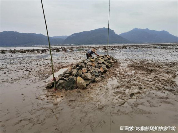 浙江三门牡蛎礁修复项目顺利完成二期监测