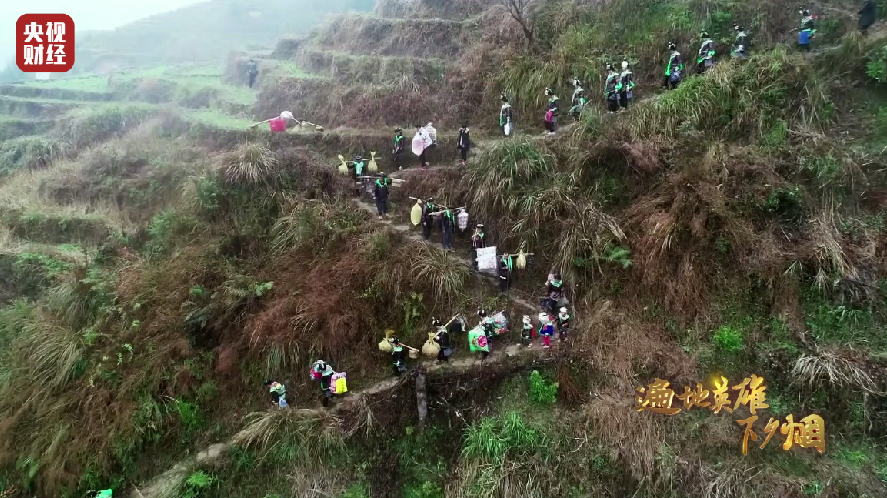 犁头山村人口_犁头草图片(2)