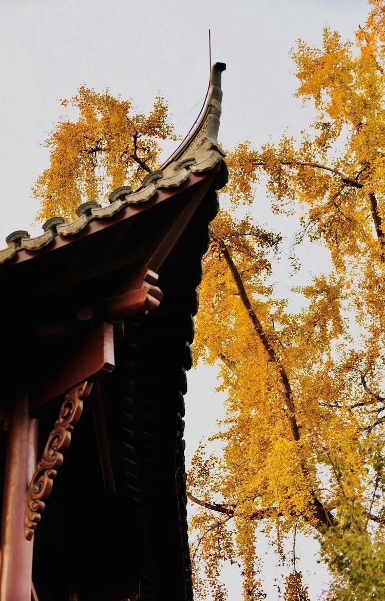 唐李公青莲祠