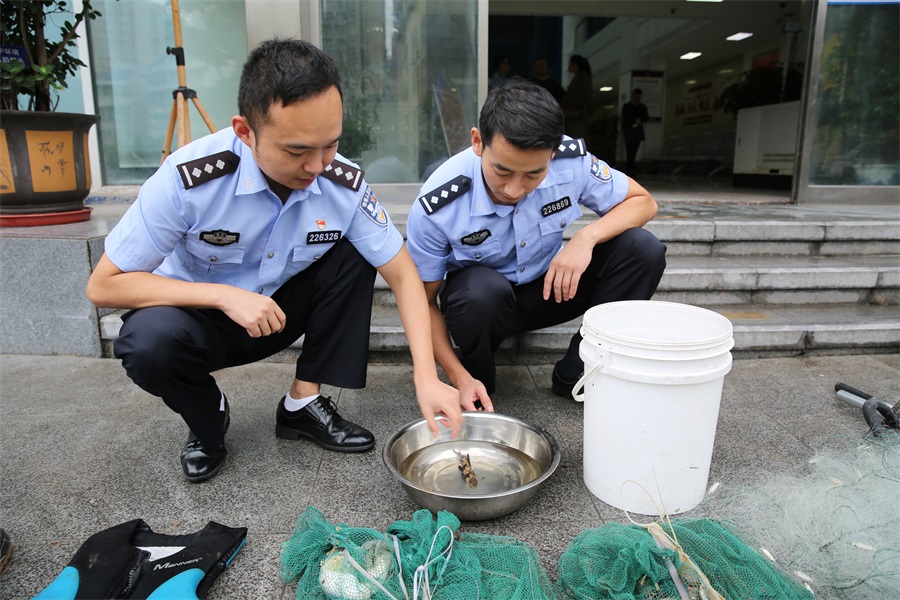 現場開展調查工作,將正在該段水域用地籠網非法捕撈的犯罪嫌疑人張某