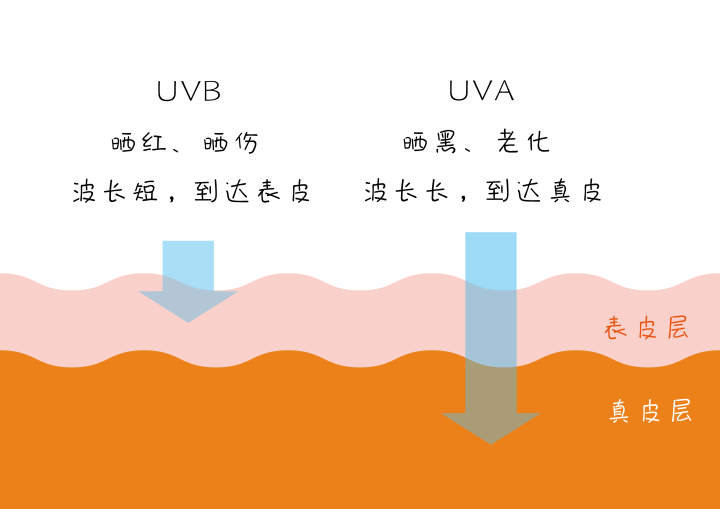 抵御紫外线对抗光老化 一款好的防晒到底该怎么选?