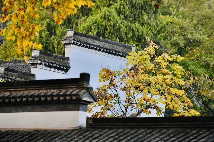 唐李公青莲祠门前秋色渐浓