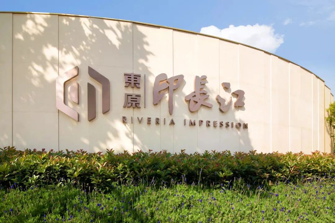 东原:"南京突围战"的困与伐