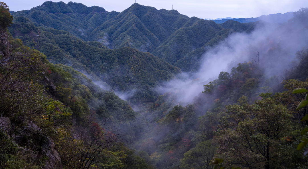 重阳登高处 赏秋白云山