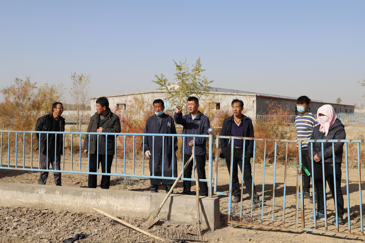 民勤县东湖镇：新品种来"安居" 致富有了"羊"法子