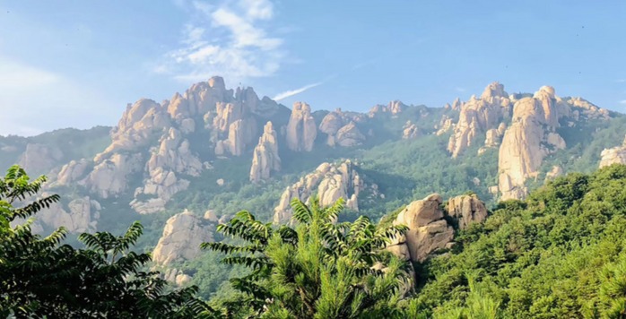 细数青岛那些美爆了的银杏古树，选一处打卡吧！