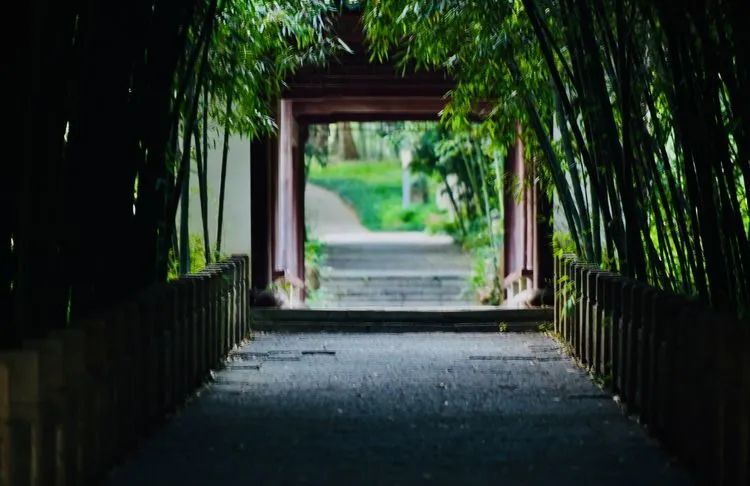 和县丰乐古道又名彩虹大道，被誉为最美乡村公路。正值深秋十月，沿途晚稻田一片金灿灿，半月湖水青翠欲滴，车友们一边享受着绿水青山，一边通过对讲机开始向当地文旅部门咨询，古道长多少公里，沿途有哪些适合车队停车点。含山县伍子胥古道全长7.5公里，连接古韶关和华阳洞，沿途有人文、自然等景点50多处，穿行其间俨然世外桃源。