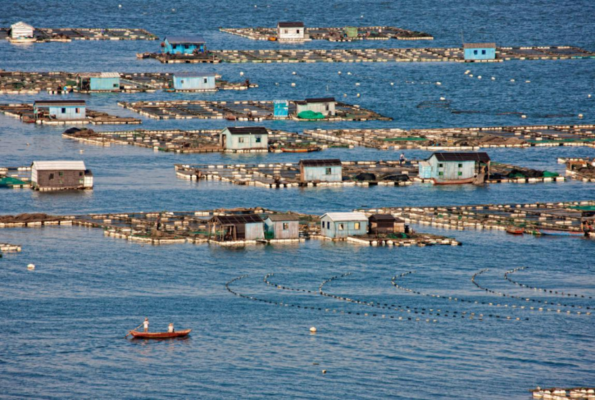 美丽公路，斑斓海湾！象山这条“三高线”聚多美景，海的味道它知道