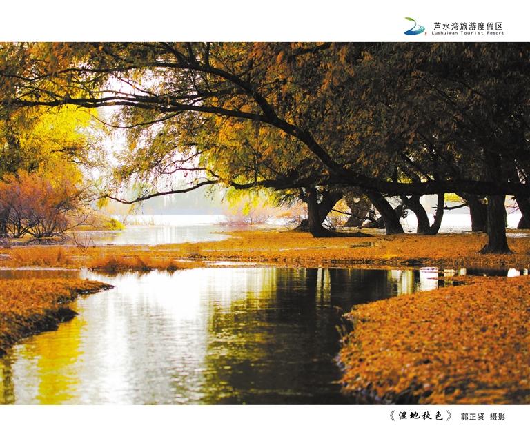 芦水湾湿地秋色 郭正贤 摄