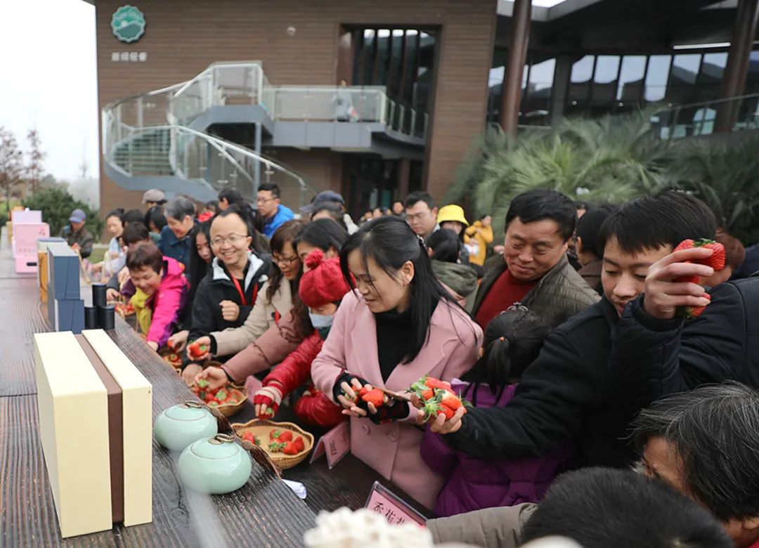 《争相品草莓》陈佩丽