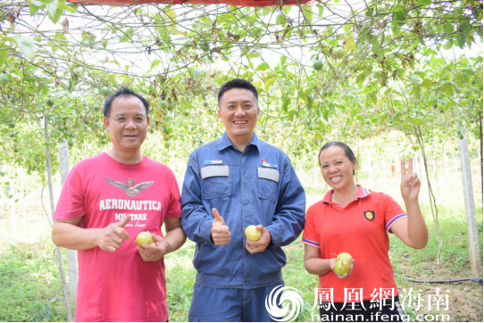 刘志鹏帮助脱贫户在百香果园里采摘黄金百香果，露出开心的笑容。（林丹丹 摄）