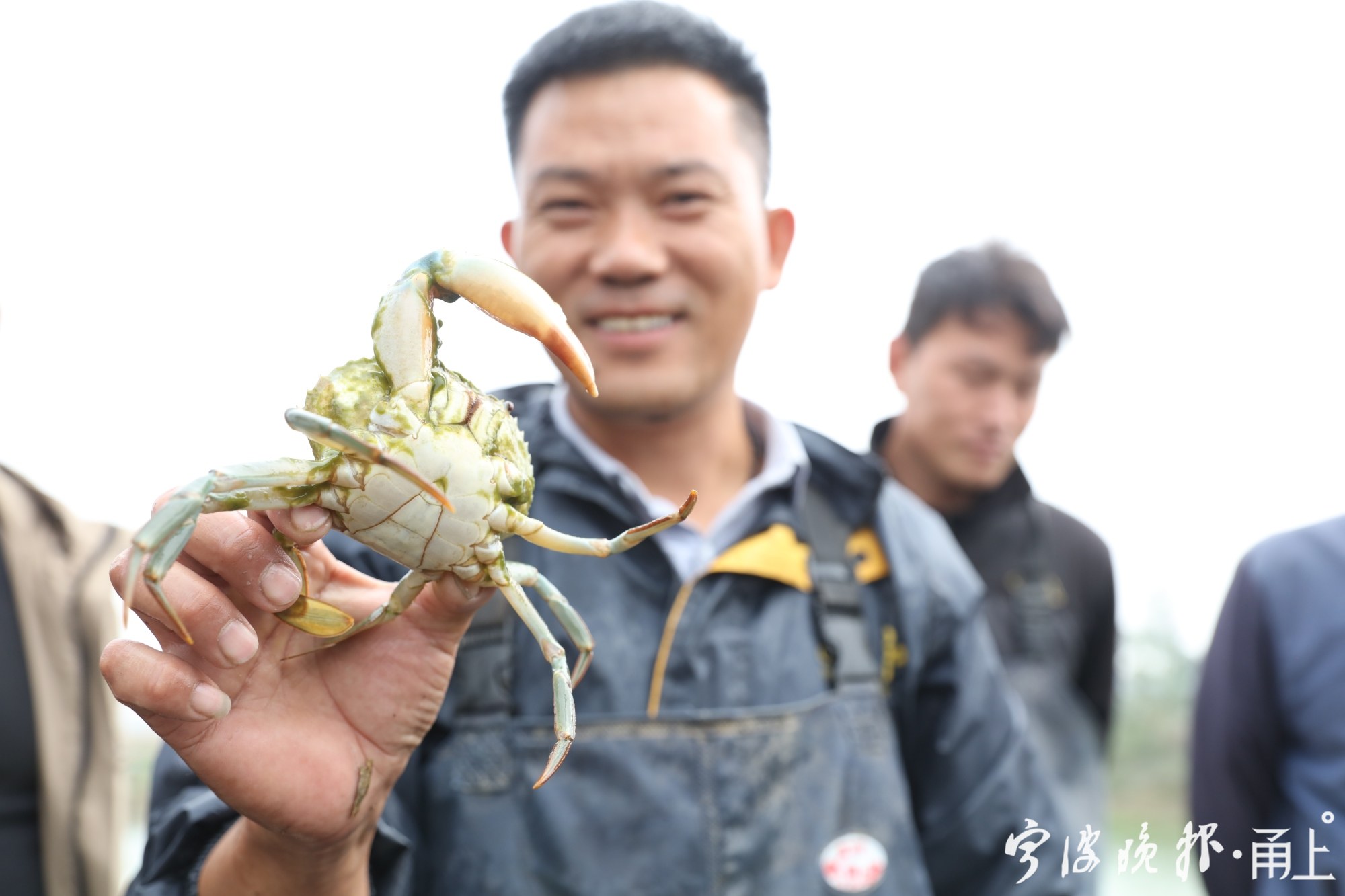 河南省延津县养殖户杨明涛拿着刚刚捕上来的青蟹.JPG