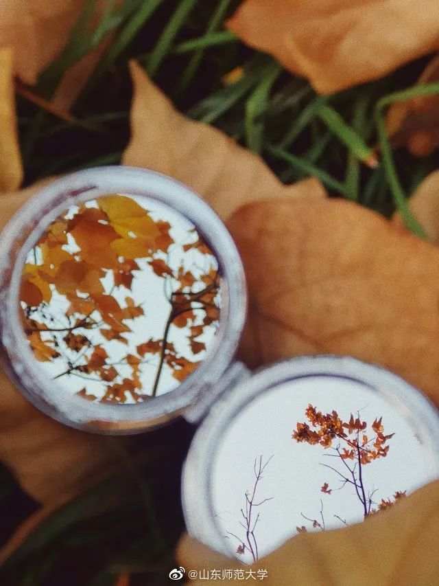 △山东师范大学