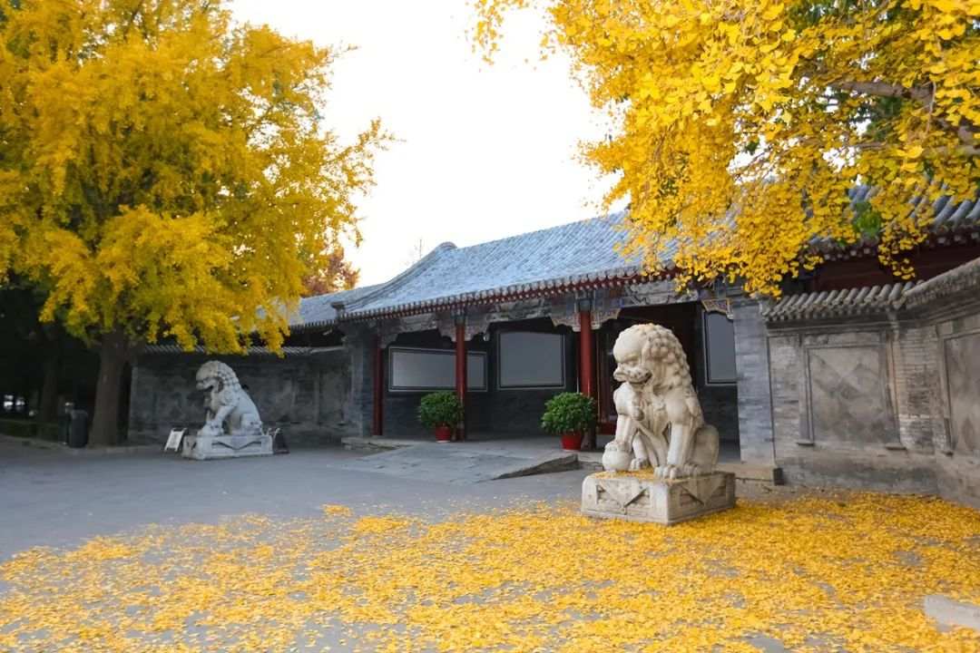 △清华大学