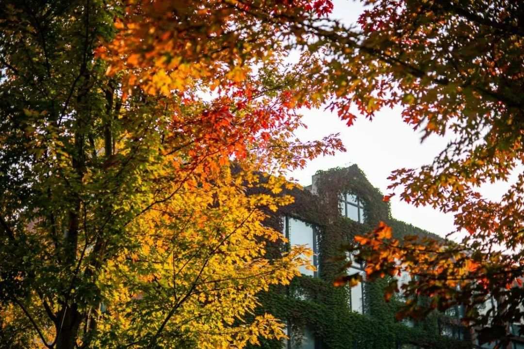 △清华大学