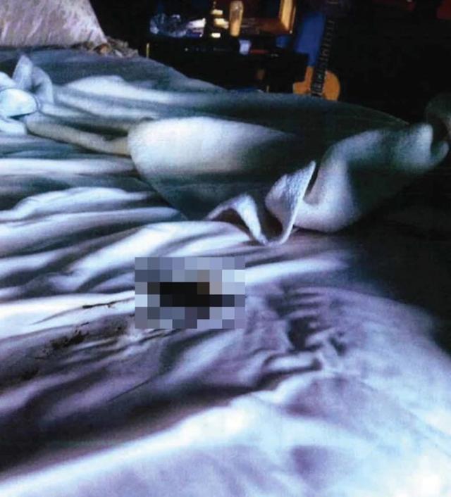 法庭上展示的照片