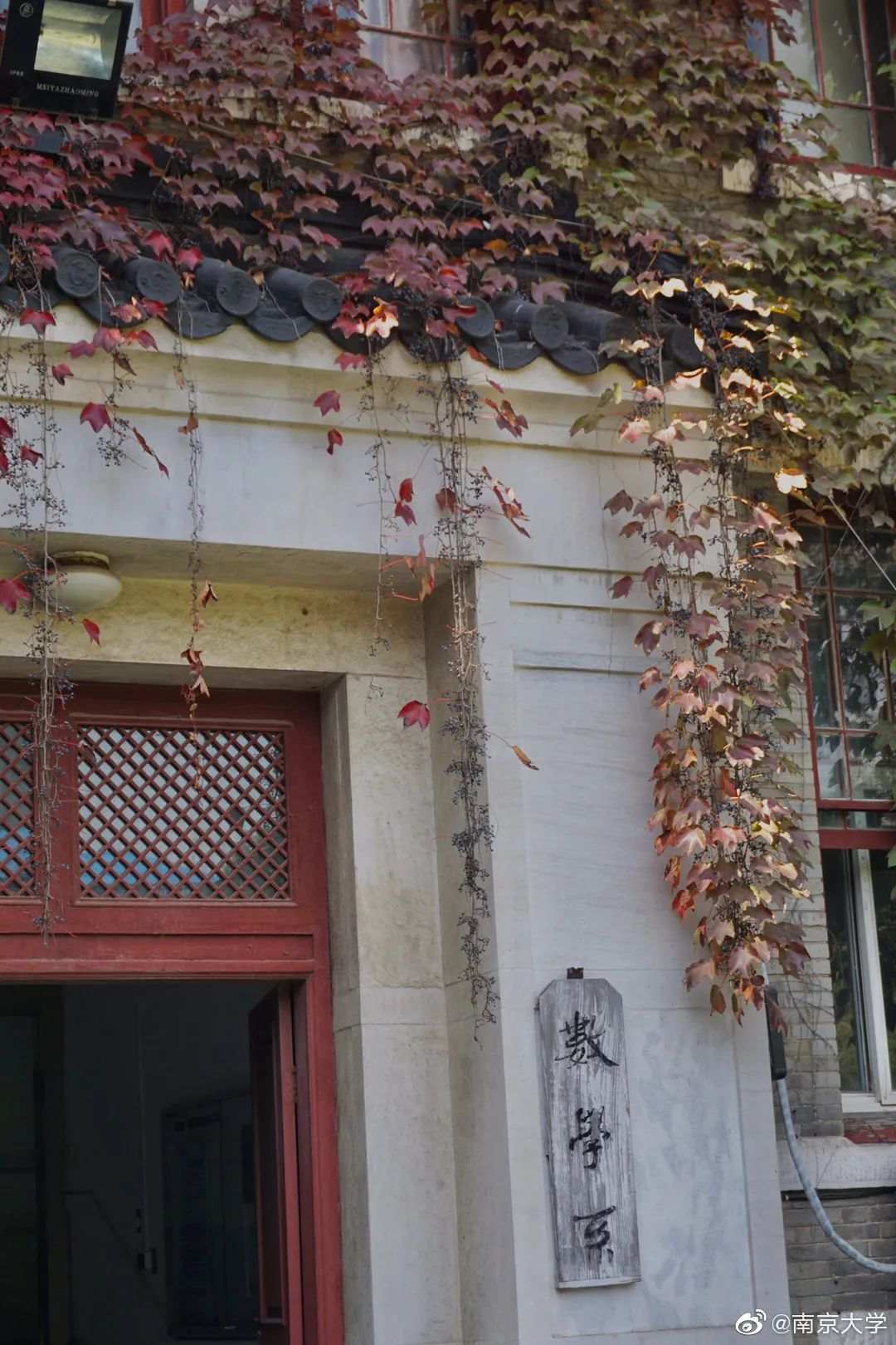 △南京大学