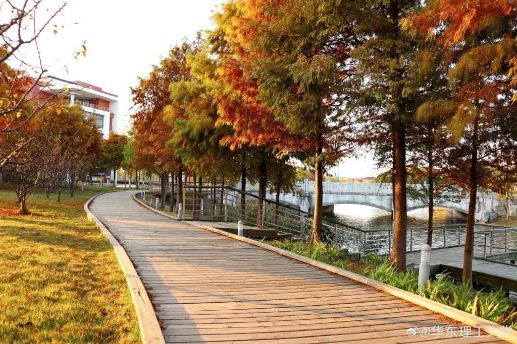△华东理工大学