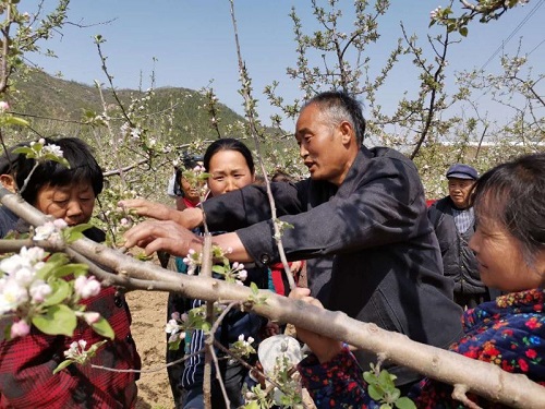 铜川市王益区:扶起脱贫志 实现致富梦