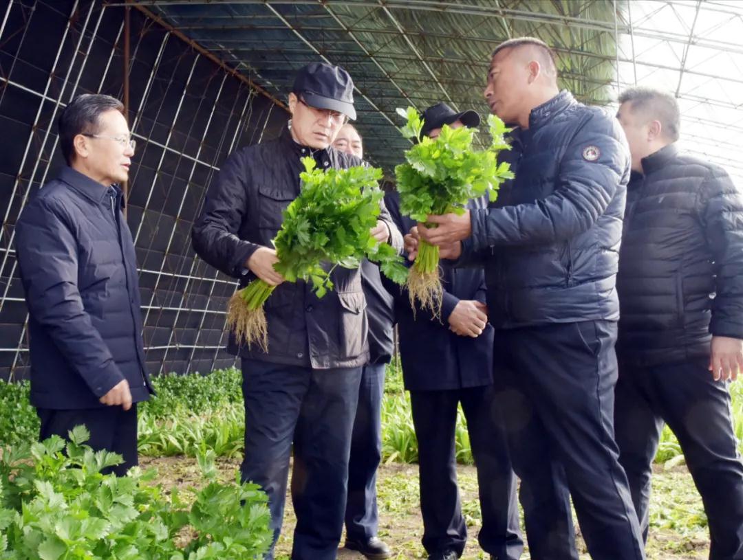 市长于洪涛在调研时强调：积极发展特色农业 促进农业结构调整