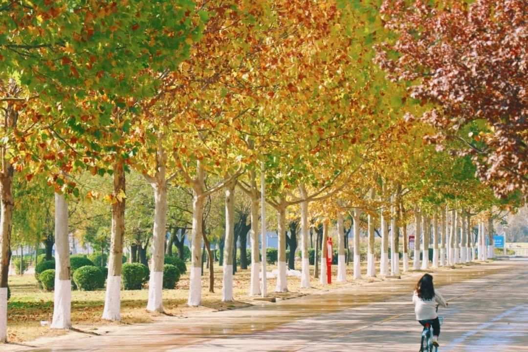 △商丘师范学院