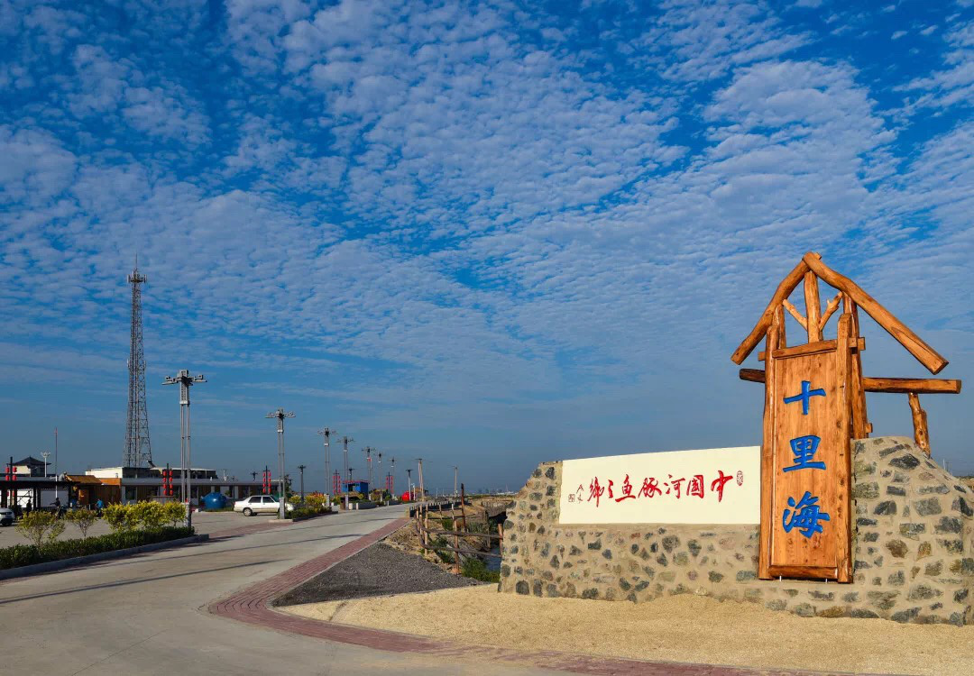 【曹妃甸第三届河豚节】在曹妃甸吃河豚，开心更放心！