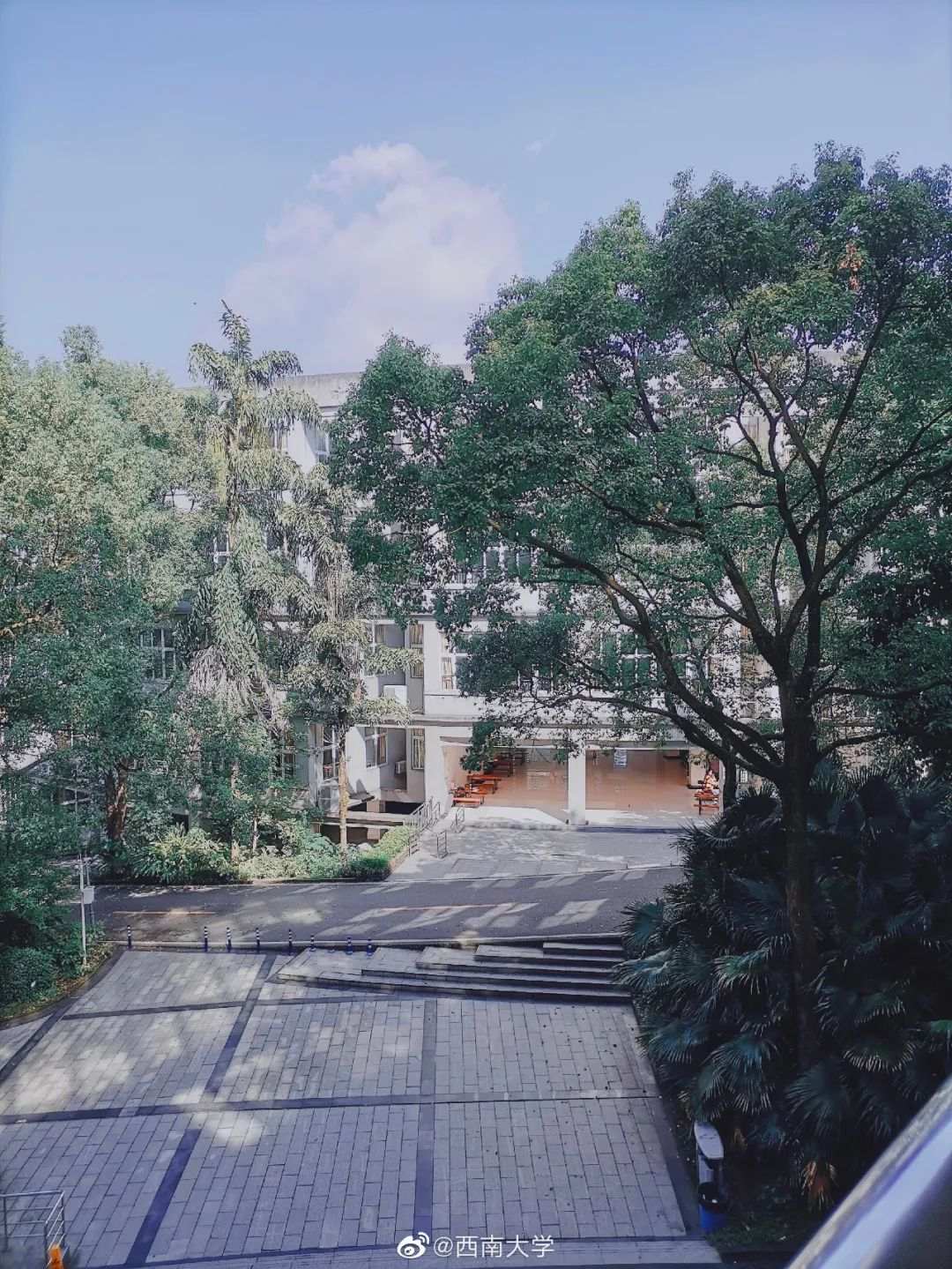 △西南大学