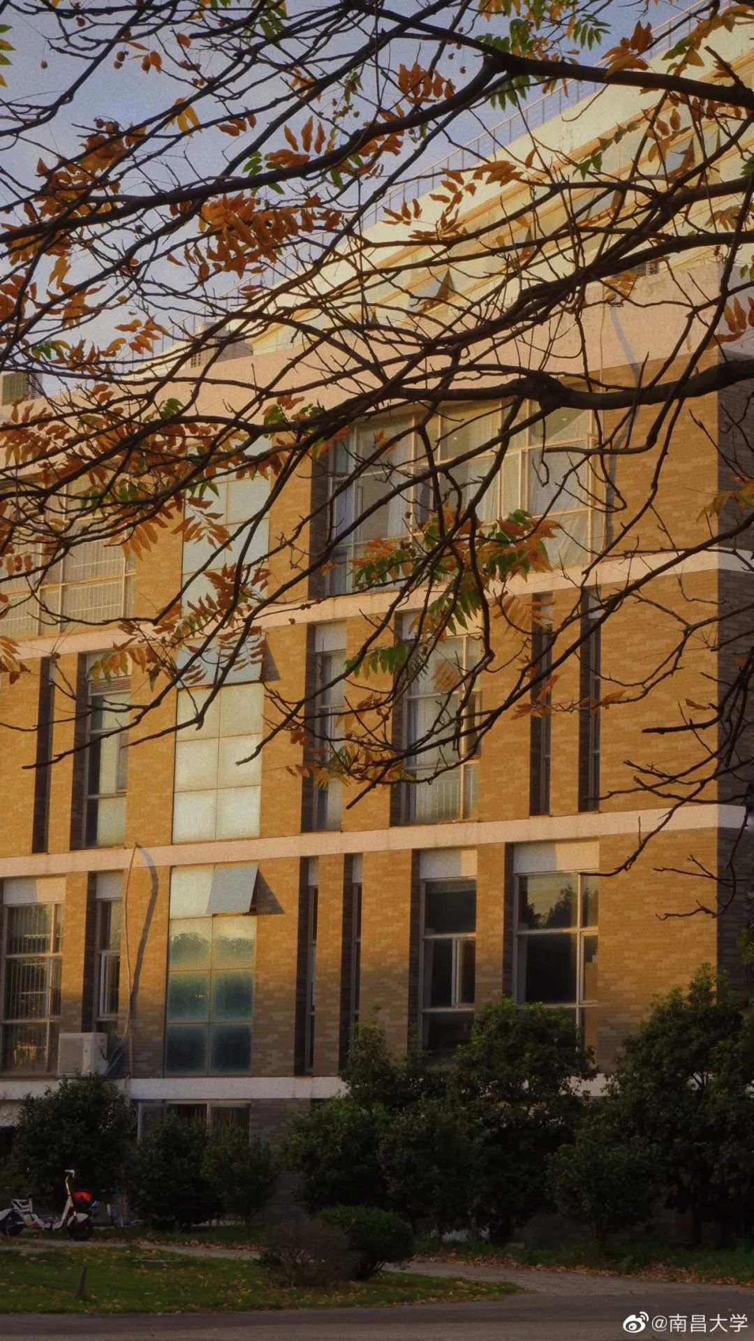 △南昌大学