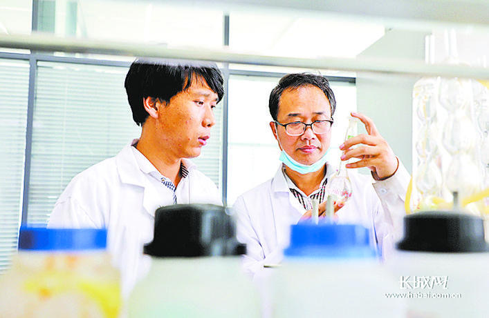 绿岭公司技术人员进行研发。（资料图）长城网记者 烟成群 摄