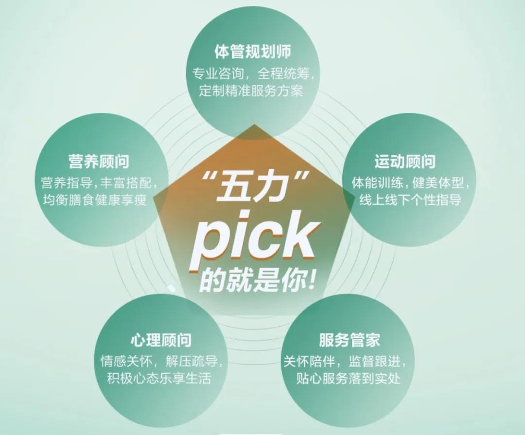 个人健康管理方案：构建健康生活的蓝图