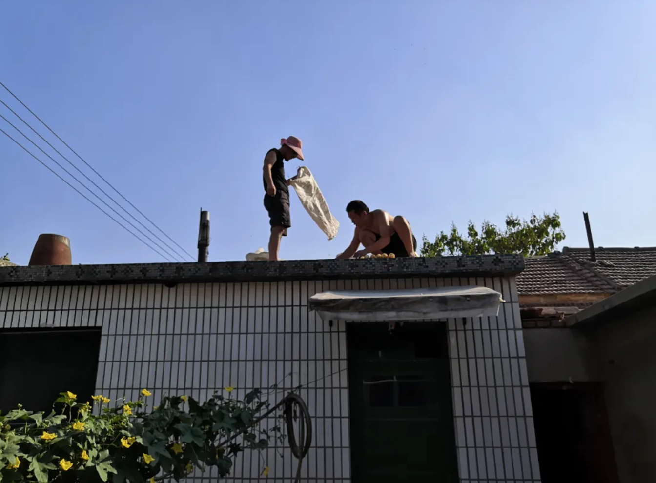 魏思孝和发小在屋顶晒玉米。