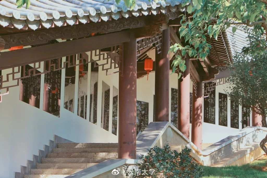 △云南大学