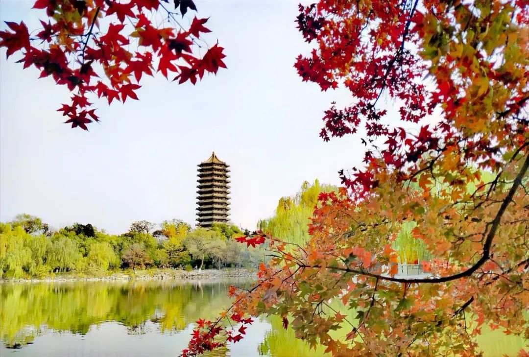 △北京大学