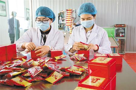 枸杞产业已成为靖远县脱贫致富的“金果产业”