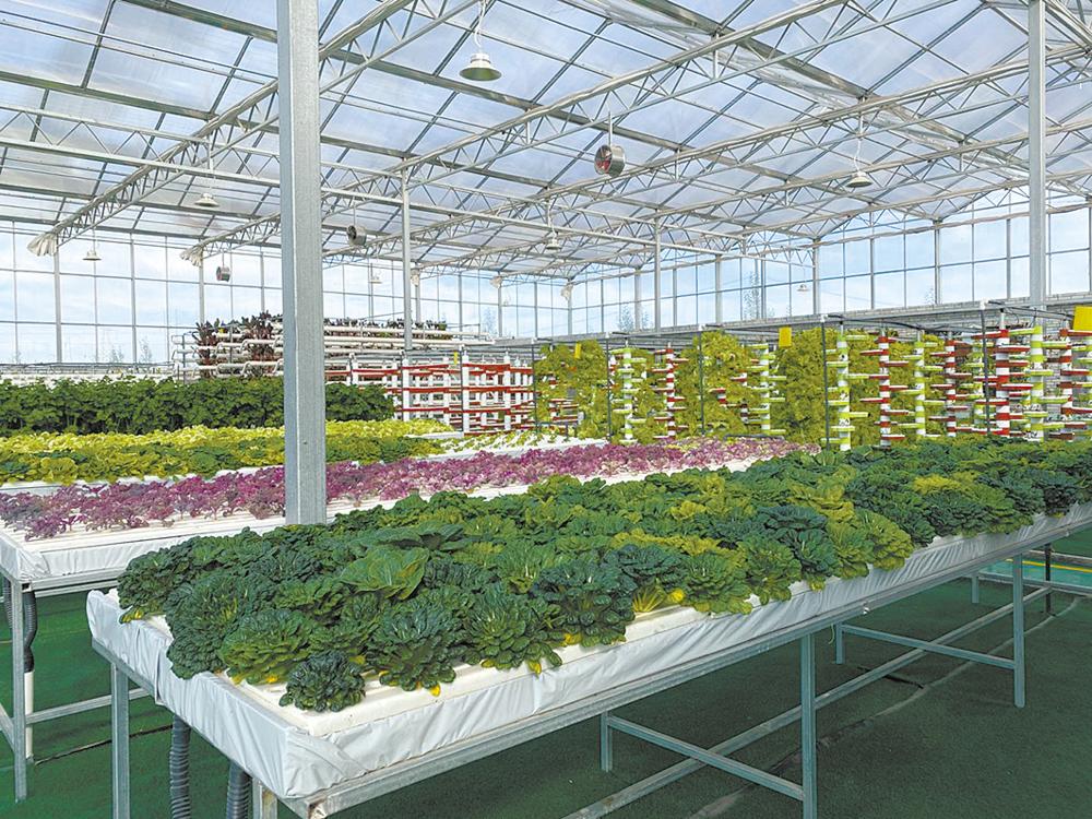 在寻求发展致富的路上闯出了一片新天地,从戈壁荒滩到现代化合作社,从