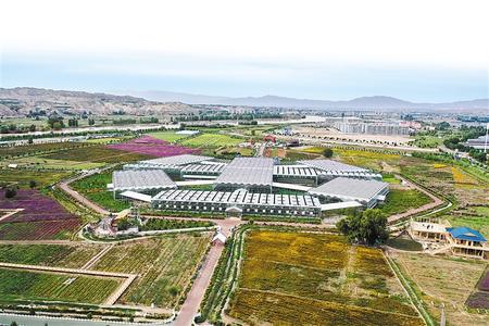 东湾高效农业示范园推进了农业产业高质量转型发展 新甘肃&middot;甘肃日报记者 盛学卿