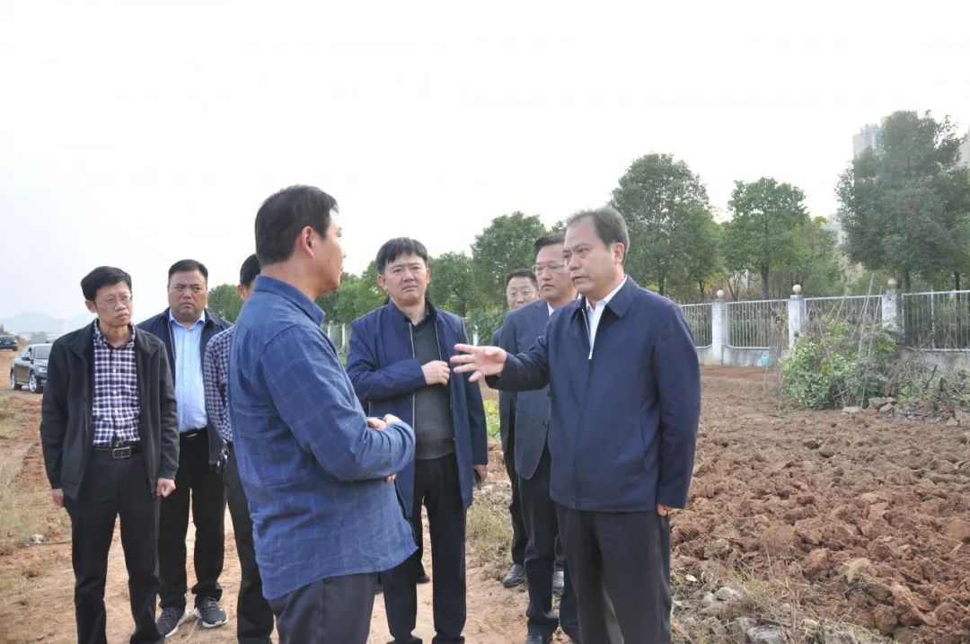 曹新博督导信阳市全国文明城市创建工作时要求养成良好习惯形成长效